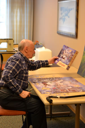 photo full window panels